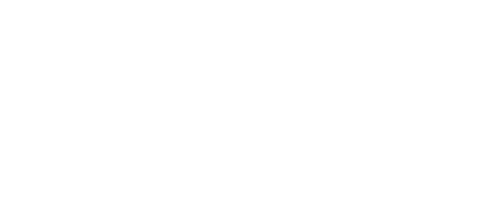 Skater Elephant